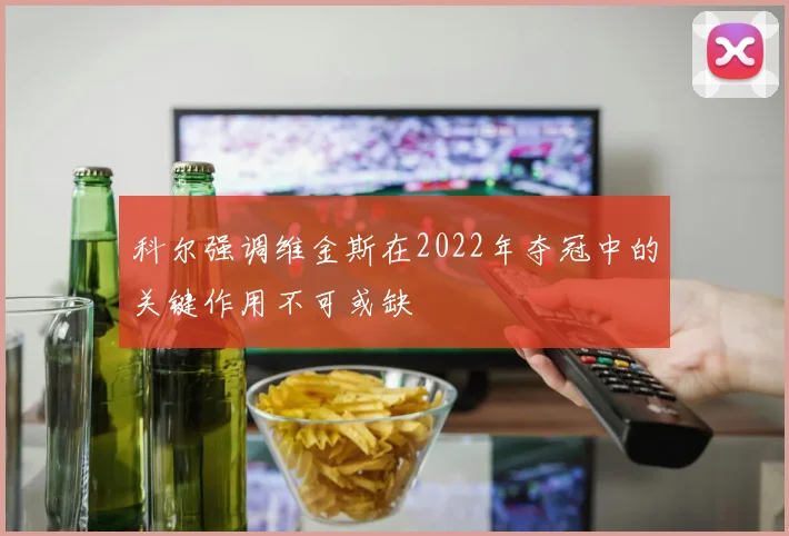 科尔强调维金斯在2022年夺冠中的关键作用不可或缺