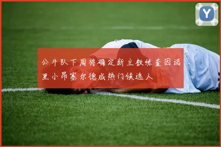 公牛队下周将确定新主教练奎因诺里小昂塞尔德成热门候选人